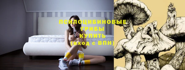 гидропоника Михайлов