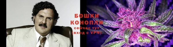гидропоника Михайлов