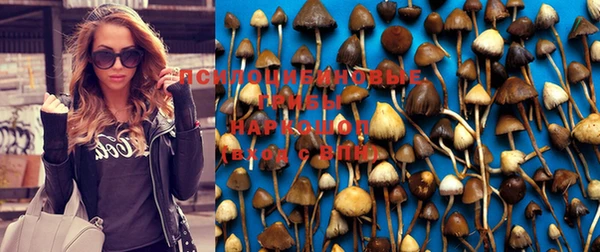 гашиш Михайловск