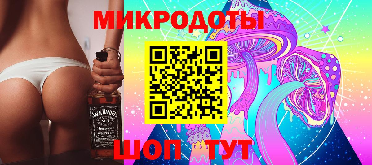 А ПВП Электрогорск
