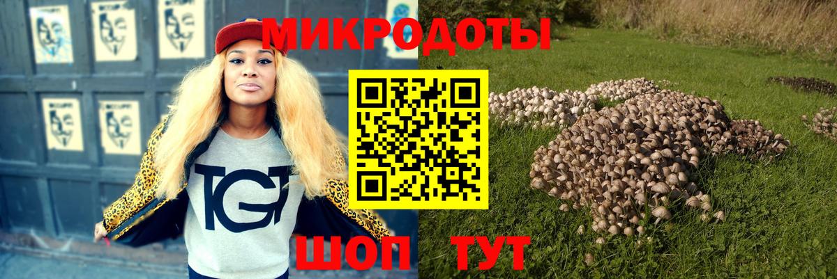 Галлюциногенные грибы Magic Shrooms  Галлюциногенные грибы Psilocybine cubensis  Электрогорск 