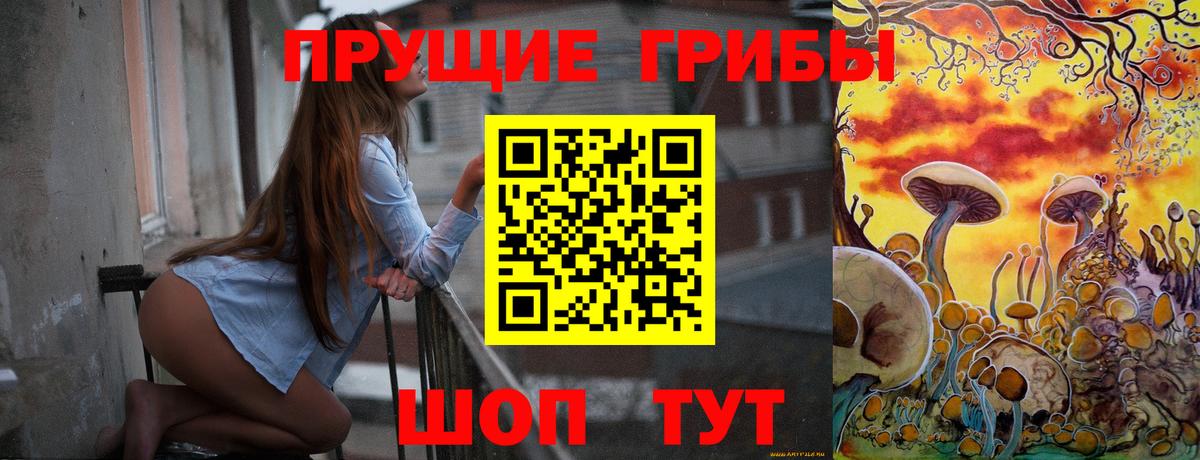 Электрогорск  Псилоцибиновые грибы GOLDEN TEACHER  Псилоцибиновые грибы мицелий  Вход с VPN 