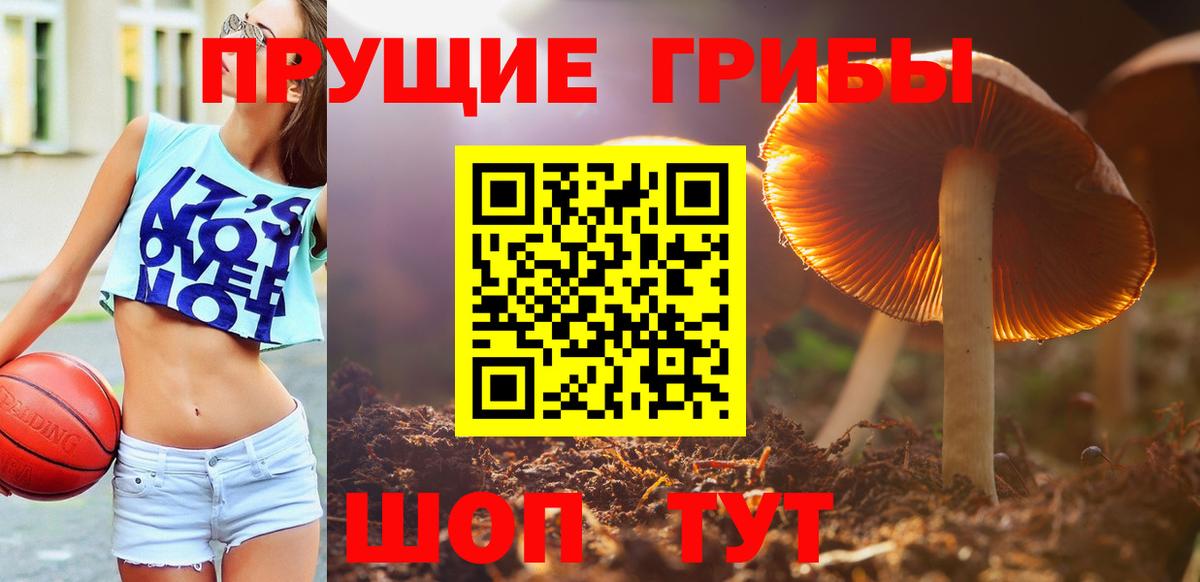 Галлюциногенные грибы MAGIC MUSHROOMS Электрогорск